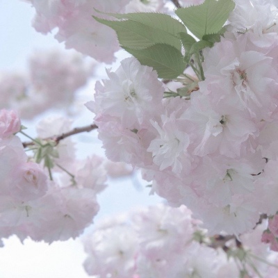 Furry插画氛围灵感兽圈群